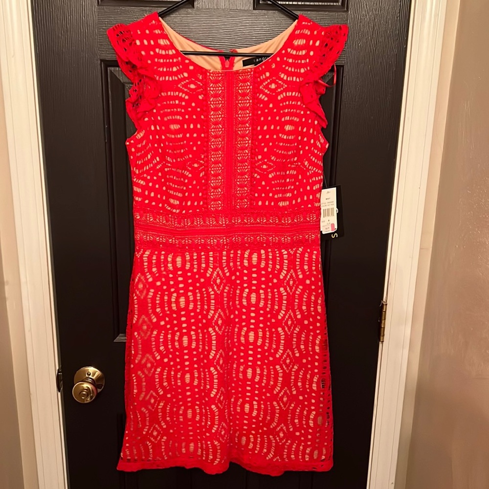 Gorgeous Red Dress with Tan Lining NWT